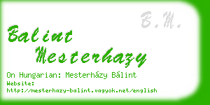 balint mesterhazy business card